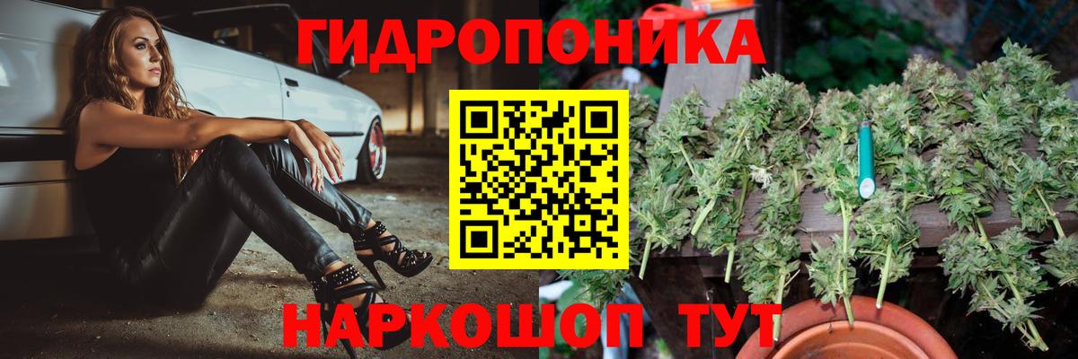 Бошки марихуана OG Kush  Вход с VPN  Бошки Шишки AK-47  Каннабис гибрид  Волхов 